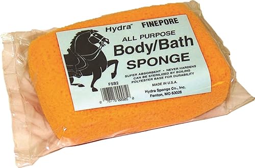 Sponge Body Square FSB2 Beauty & Personal Care Hydra Sponge