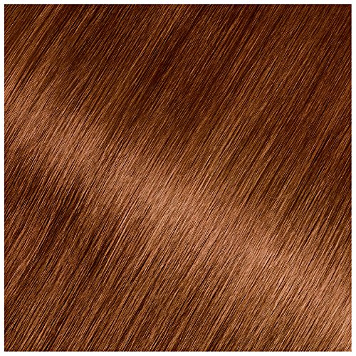 Garnier Olia Ammonia Free Permanent Hair Color, 100% Gray Coverage (Packaging May Vary), 6.43 Light Natural Auburn, Red Hair Dye, Pack of 1 Beauty & Personal Care Garnier