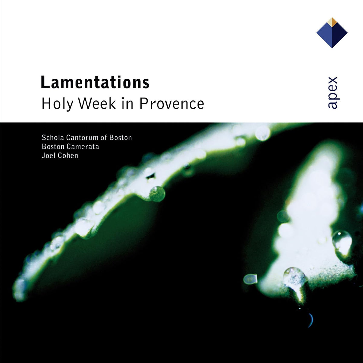 Lamentations: Holy Week in Provence Beauty & Personal Care Zach Top