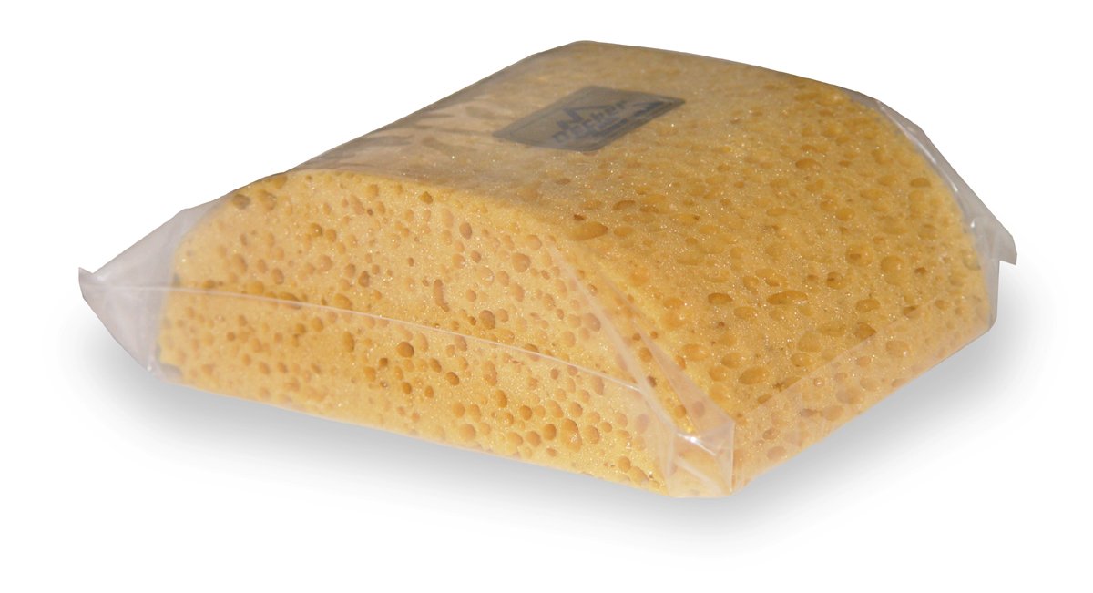 Decker Hump Back Sponge Beauty and Personal Care Decker