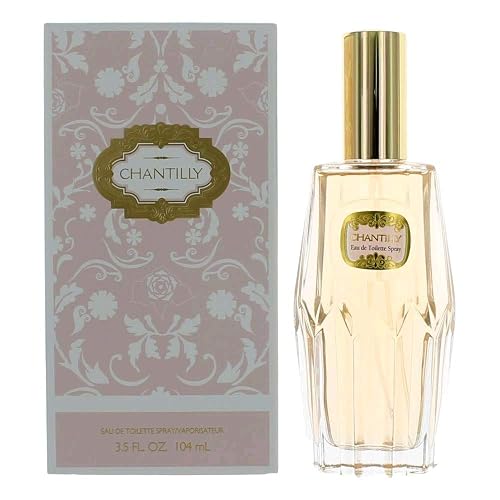Chantilly by Dana Eau De Toilette Spray 3.5 oz for Women Beauty & Personal Care Dana