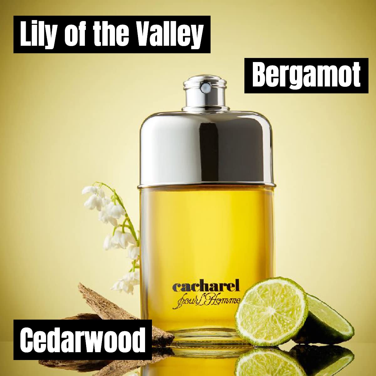 Cacharel Pour L'Homme Eau de Toilette Cologne for Men, Woody, Spicy and Floral Fragrance, Notes of Bergamot, Lily of the Valley Accord and Cedar Wood Beauty & Personal Care Cacharel