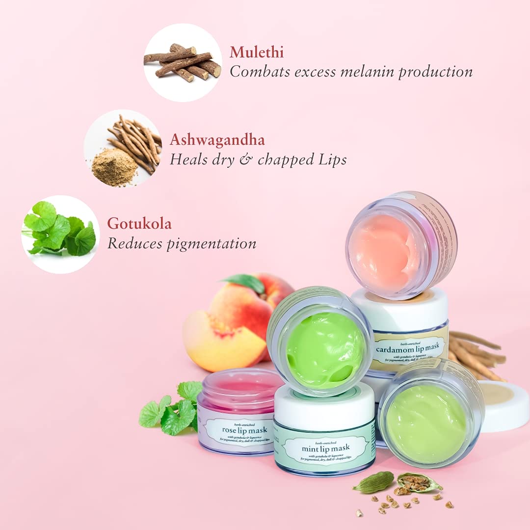 Just Herbs Organic Lip Mask For Dry, Pigmented & Chapped Lips - Vegan Moisturizing Lip Mask for Men & Women, Rose 15 gm Beauty and Personal Care Just Herbs