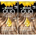 Garnier Olia Ammonia-Free Permanent Hair Dye Highlighting Kit, Oil-Rich Formula for Multidimensional Hair Color with Up to 4 Levels of Lift, Vegan Beauty & Personal Care Garnier