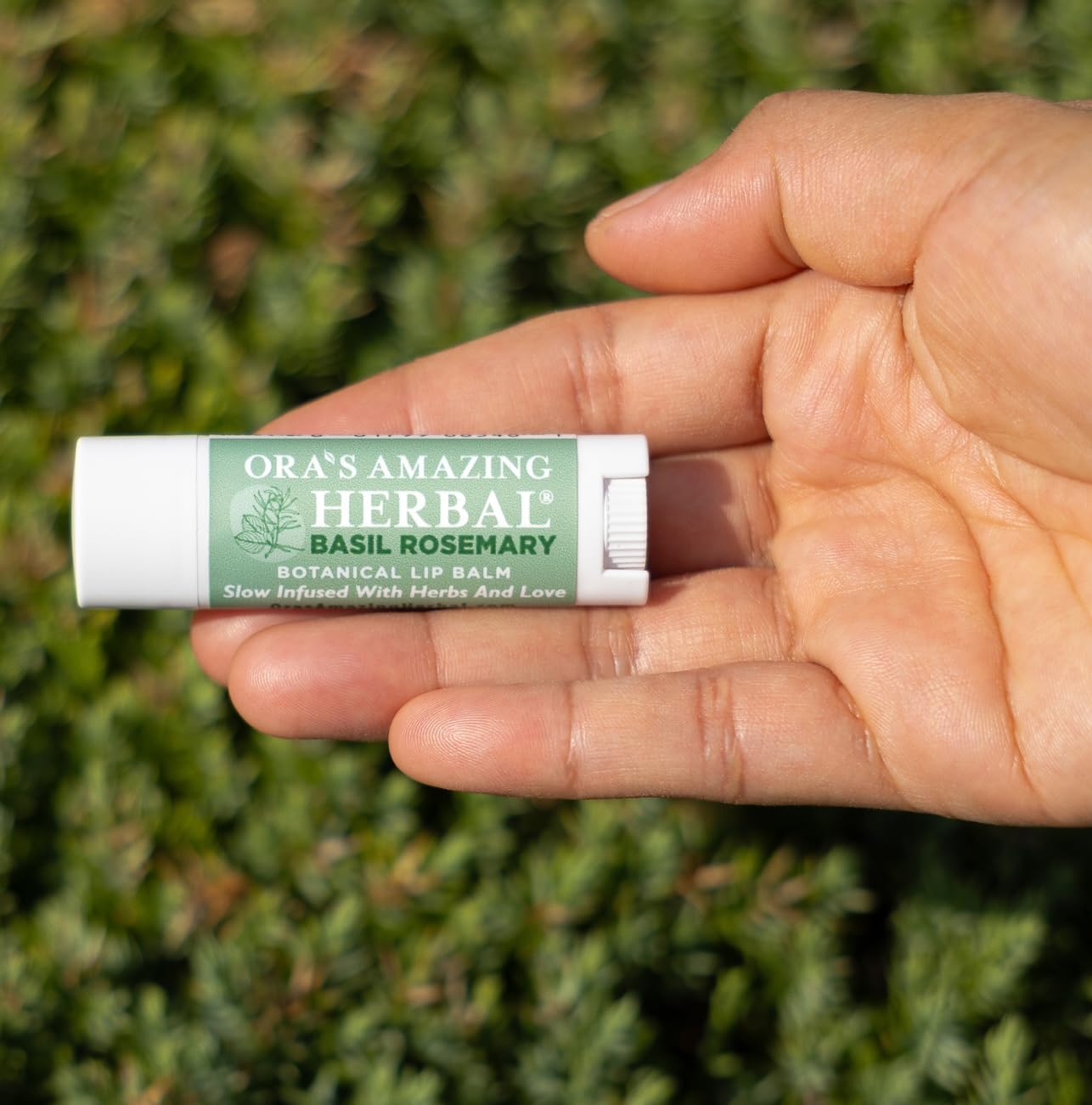 Natural Lip Balm, Perioral Dermatitis Treatment, Calendula, Healing Lip Balm with Immune Supportive Basil & Rosemary Essential Oil, Organic Coconut Beauty and Personal Care Ora's Amazing Herbal
