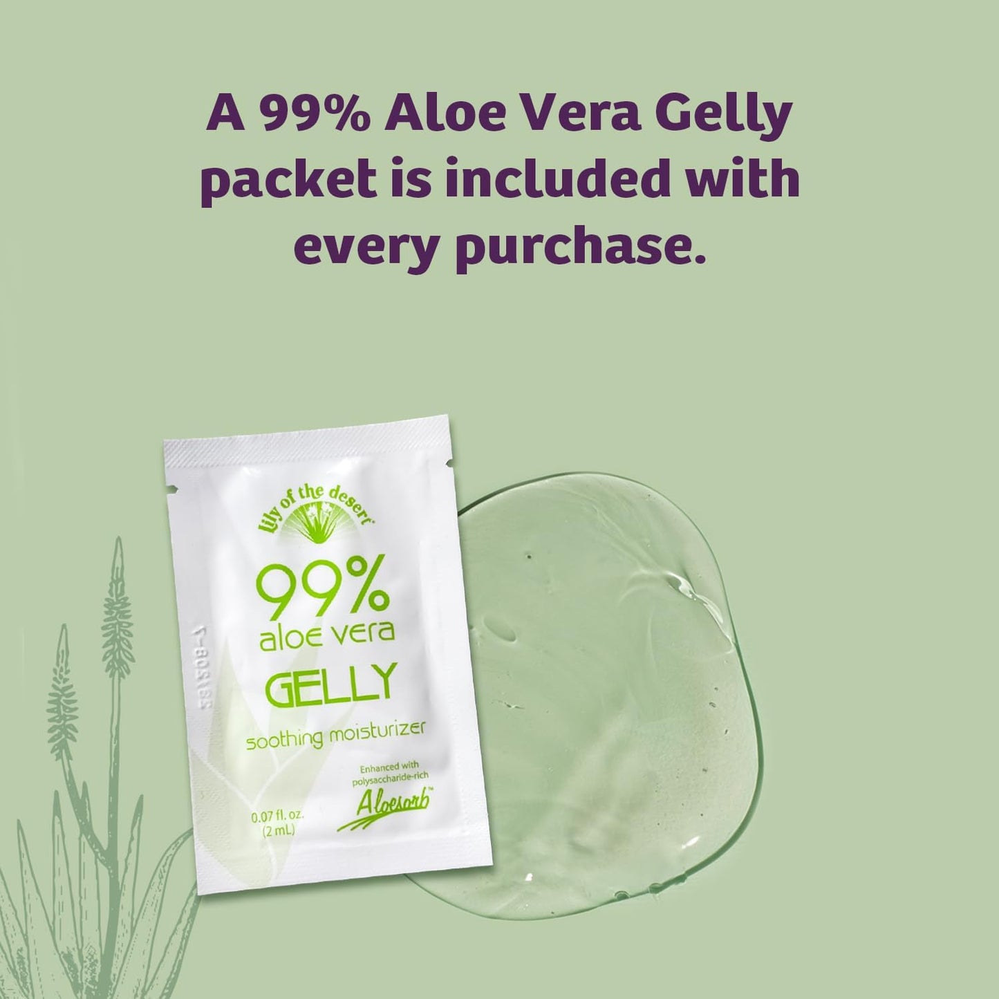 Lily Of The Desert Gelly Moisturizer - 99% Organic Aloe Vera Gel for Skin, After Sun Care with Aloe, Vitamin E Oil, and Vitamin C for Sunburn Relief Beauty & Personal Care Lily Of The Desert