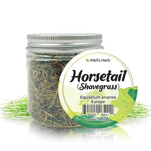 Well's Herb Dried Horsetail | 0.5 oz. | 100% Natural | Herbal Hair & Skin Oil Ingredient | DIY Beauty Essential Beauty & Personal Care Well's Oil