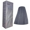 Hair Colour Permanent Hair Cream Dye Light Grey by Berina Beauty & Personal Care Berina