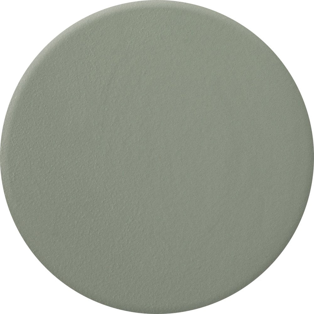 ZOYA Nail Polish, Sage, 0.5 fl. oz. Beauty & Personal Care ZOYA