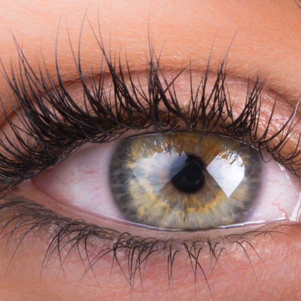 Organys Lash and Brow Serum for Appearance of Growth Beauty & Personal Care Organys