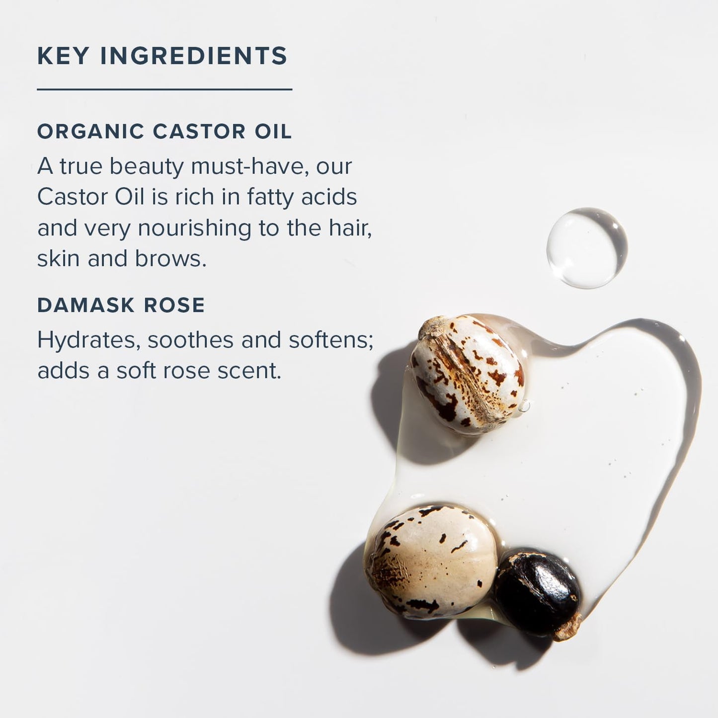 HERITAGE STORE Rose Castor Oil Serum, Oil, Rose (Btl-Glass) | 2oz Beauty & Personal Care HERITAGE STORE