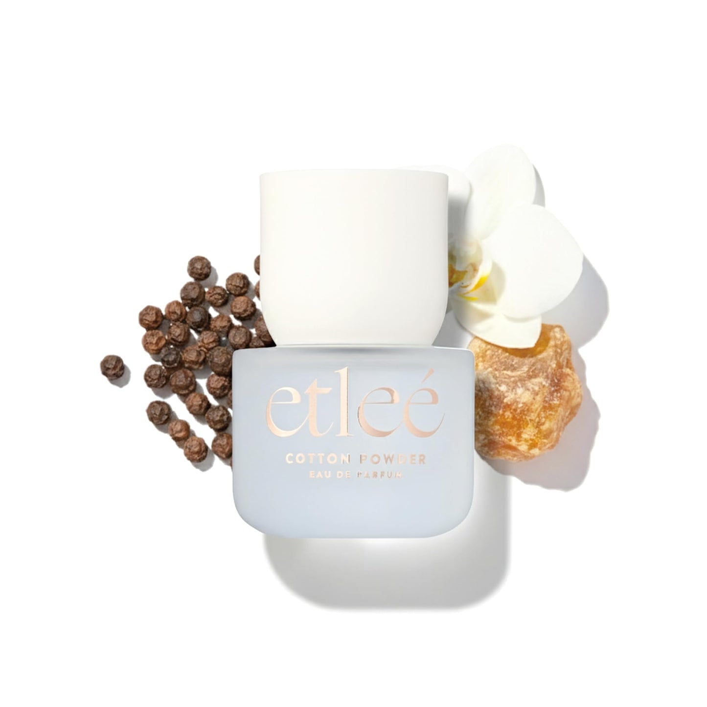 ETLEÉ Cotton Powder Eau de Parfum 1.01oz, Aldehydic Musk Long Lasting Perfume With Sandalwood, Black Pepper, Orchid, Lily & Rose, Layerable Luxury Beauty & Personal Care ETLEÉ