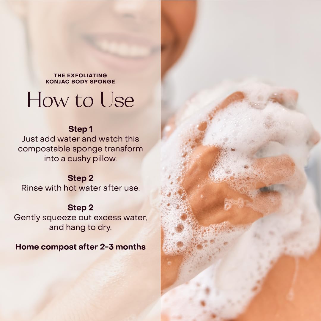 Everist The Exfoliating Konjac Body Sponge, Natural, Reusable, Compostable Bath Sponge for Sensitive Skin, Charcoal Cleansing, 60+ Uses, 1 Each Beauty and Personal Care Everist