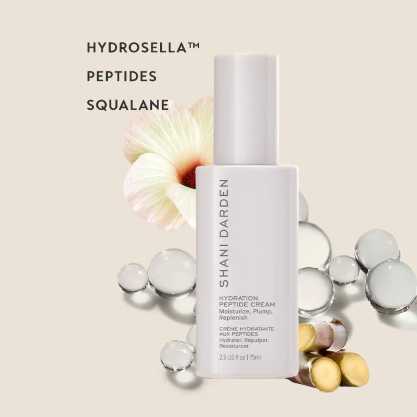 Shani Darden Hydration Peptide Cream, Oil-Free Face Moisturizer with Peptides, Squalane, Niacinamide & Ceramides for Normal to Dry Skin, Up to 72 Beauty & Personal Care SHANI DARDEN