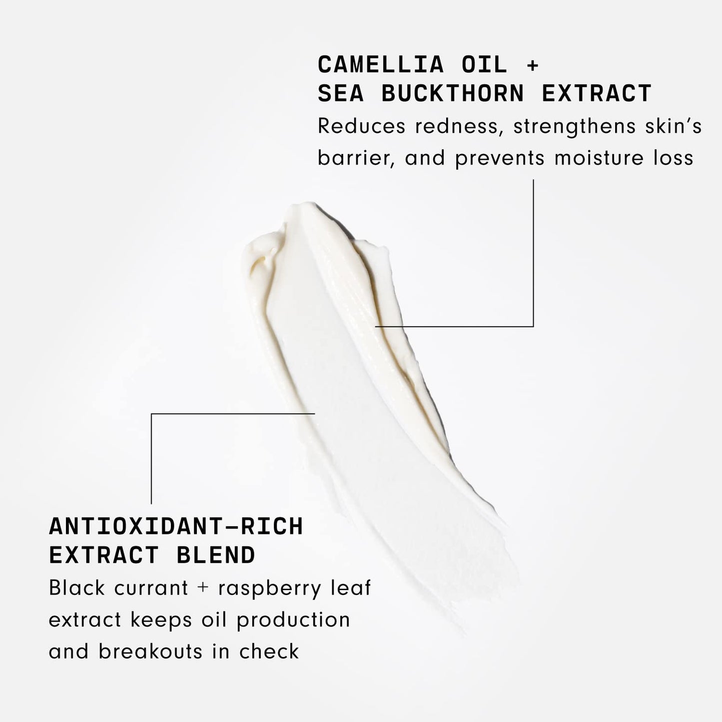Versed Day Maker Microcrystal Exfoliating Cleanser - Creamy Facial Wash Helps Clear Dead Skin Cells Microcrystalline, Biodegradable Alternative Beauty & Personal Care Versed