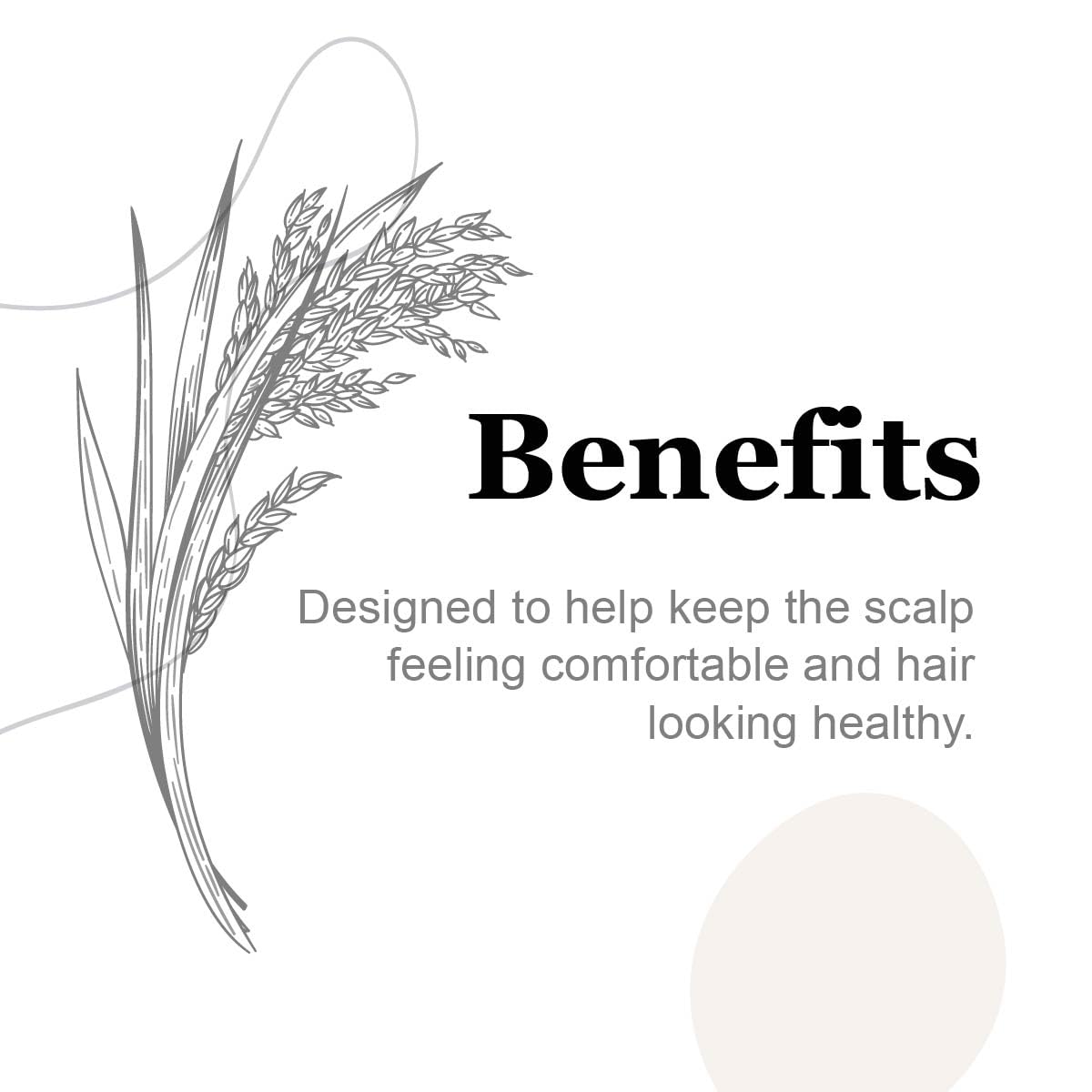 PERFECX - Black Rice Hair Oil 2 fl oz - for Scalp Treatment - 48 hours Herbal Infused Ayurvedic Natural Ingredients - Hair Strengthening and Growth