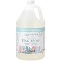 Ginger Lily Farms Botanicals All-Purpose Foaming Hand Soap Refill, 100% Vegan & Cruelty-Free, Cucumber Mint Bliss Scent, 1 Gallon (128 fl oz) Beauty & Personal Care Ginger Lily Farms