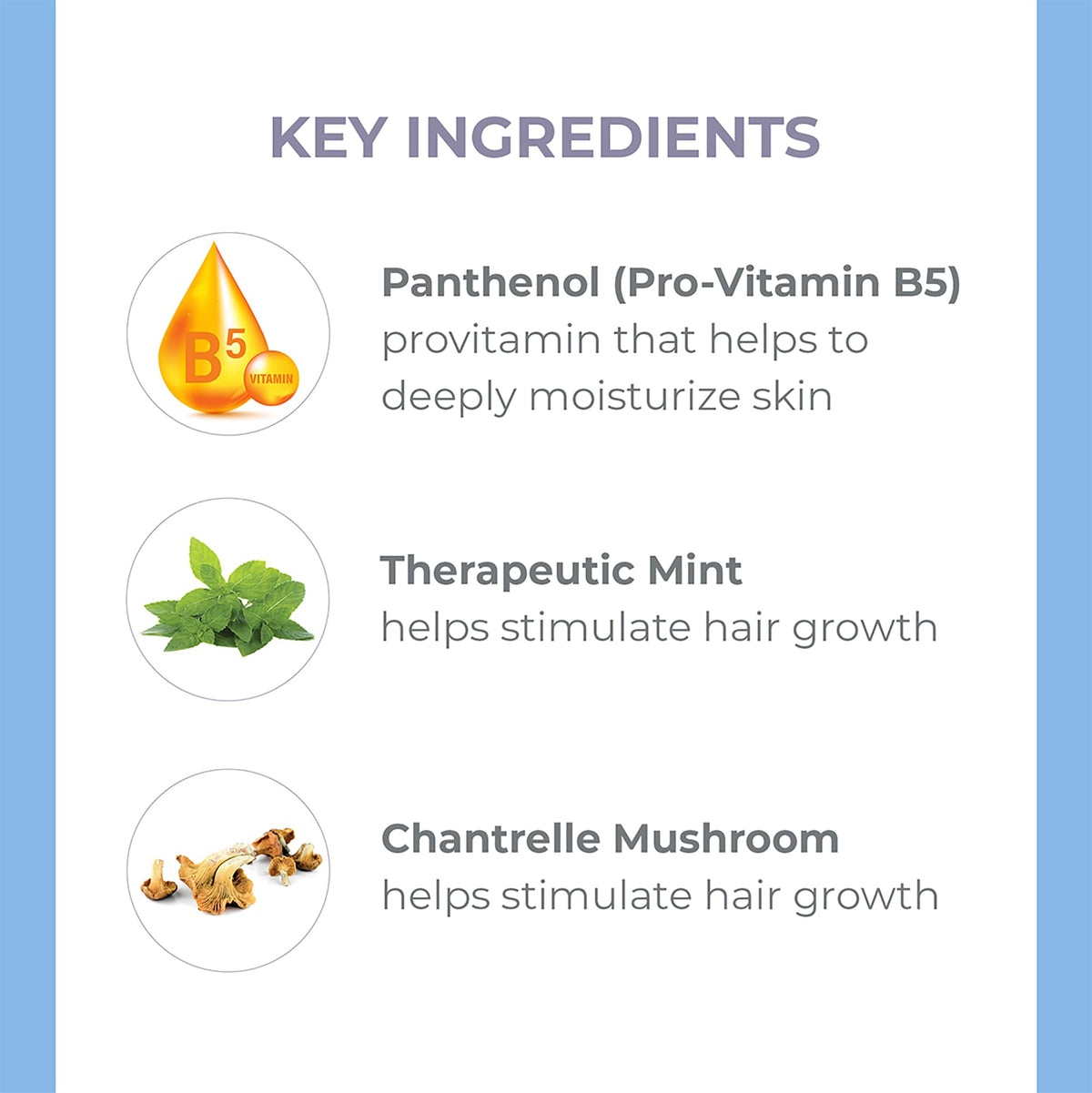 Derma E Biotin Thickening Spray - Volumizing Protein-Enriched Texturizer for Fine Hair with Panthenol, Therapeutic Mint and Chanterelle Mushroom, 3.3 Beauty & Personal Care Derma E