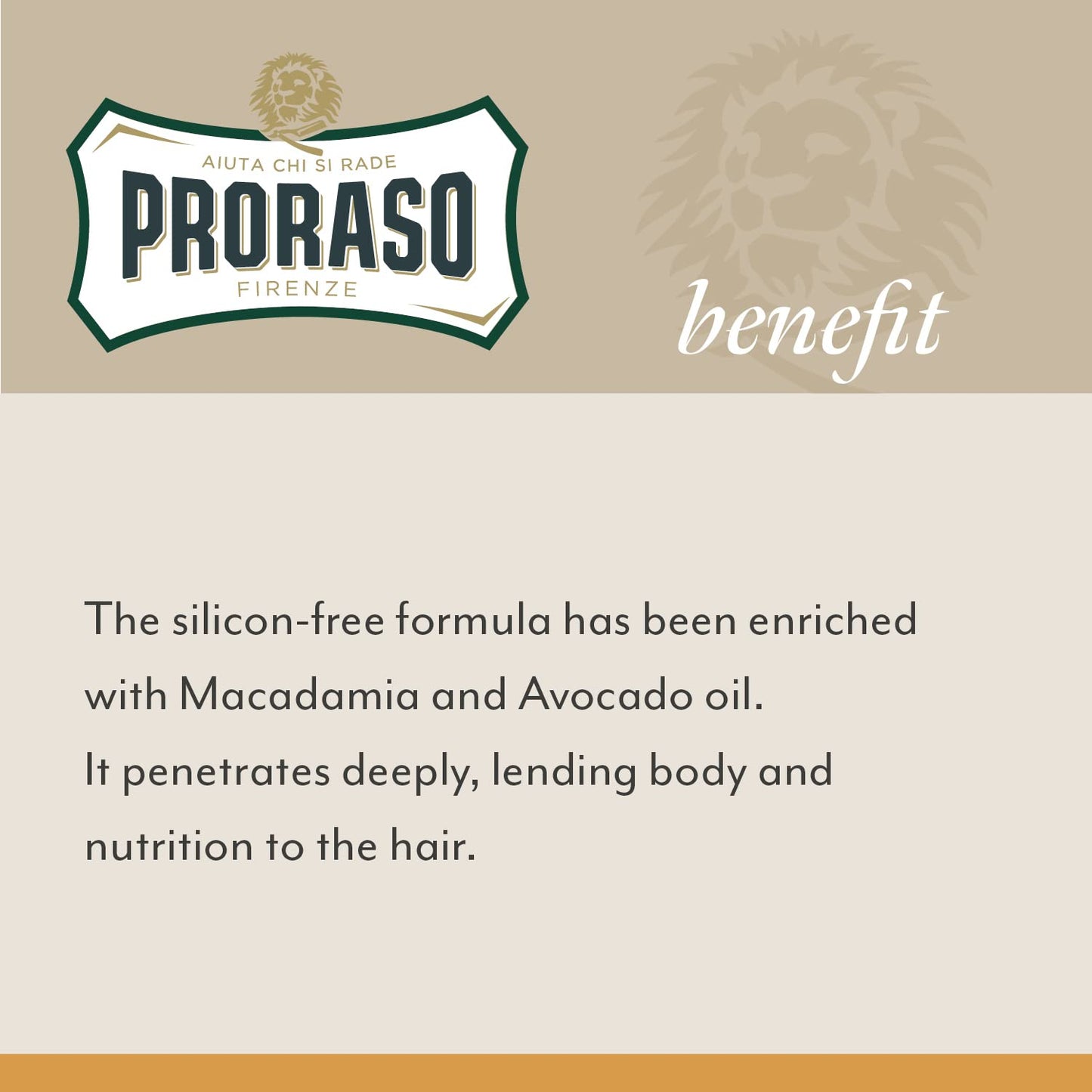 Proraso Wood and Spice Beard Oil - Moisturizing Avocado, Sunflower, Cedarwood & Vanilla Condition Beards & Add Shine - Leave In Facial Hair Oil Beauty and Personal Care Proraso