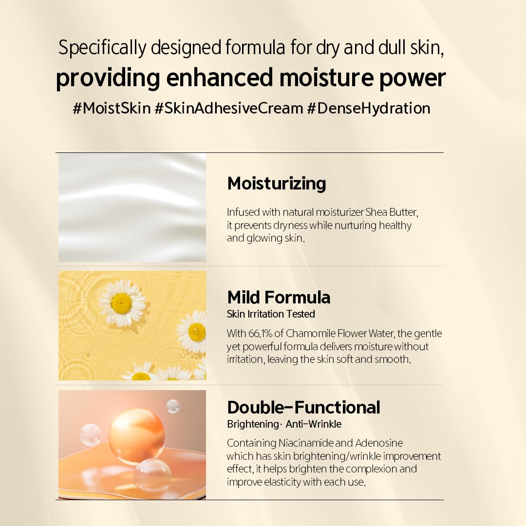 NACIFIC Fresh Herb Origin Facial Moisturizer Vitamin B, Vitamin Radiance Skin's moisture barrier Cream Hydrating day and night Korean skincare Beauty & Personal Care NACIFIC