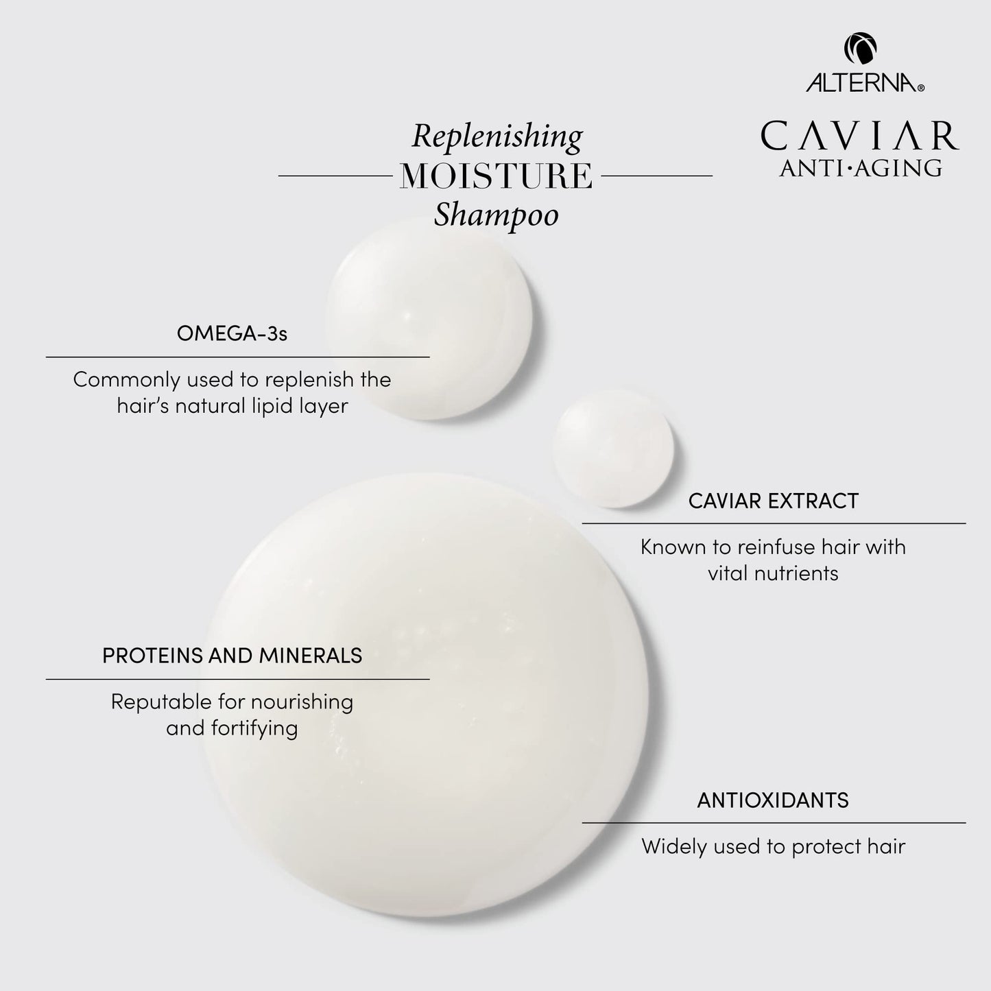 Alterna Haircare CAVIAR Anti-Aging Replenishing Moisture Shampoo and Conditioner Set, 16.5 Fl Oz | Protects, Restores and Hydrates | Sulfate Free Beauty & Personal Care Alterna