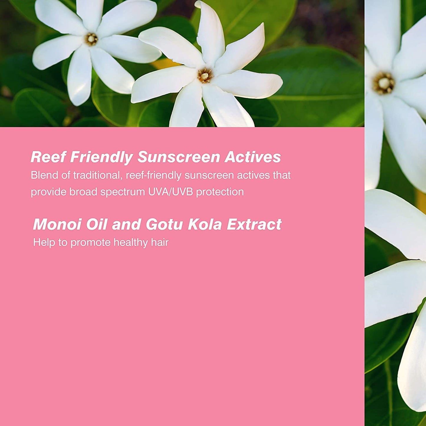 COOLA Organic Scalp Spray & Hair Sunscreen Mist with SPF 30, Dermatologist Tested Hair Care for Daily Protection, Vegan and Gluten Free, Ocean Salted Beauty & Personal Care COOLA