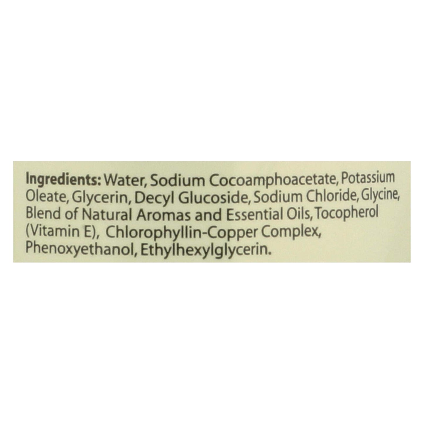 CLEARLY NATURAL LIQ SOAP W/PUMP,TEA TREE, 12 FZ Beauty & Personal Care Clearly Natural