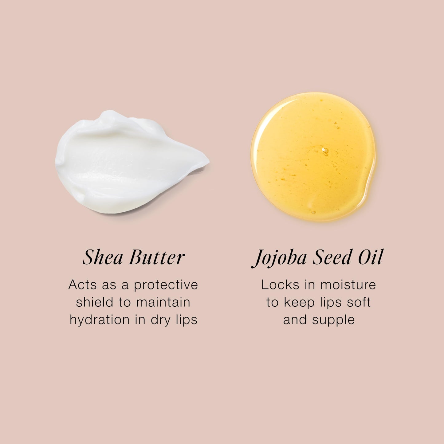 Jouer Balm Bouche Hydrating Lip Tint - Solidarité, Medium Muted Rose - Matte, Nourishing Lip Balm Beauty & Personal Care Jouer