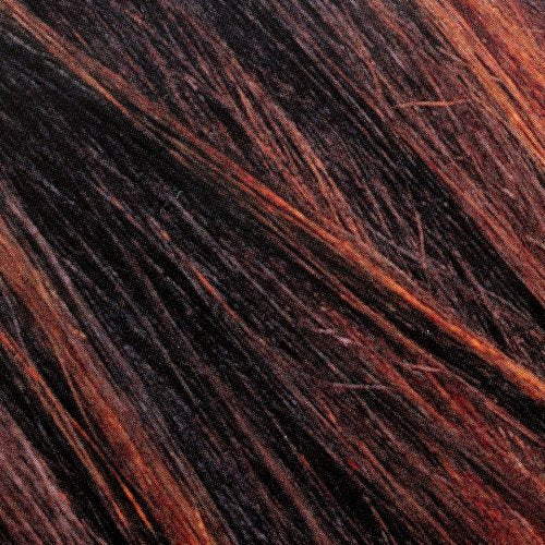 L’Oreal Paris Couleur Experte 2-Step Home Hair Color and Highlights Kit, Chocolate Mousse Beauty & Personal Care L'Oreal Paris