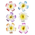 2.5" Hawaiian Hair Flower Clip Hair Barrettes for Women.Hair Buckle 4 Moana Luau Hawaiian Dresses for Women-6pc Hair Clips for Thin Hair,Hair Clips Beauty & Personal Care HipGirl