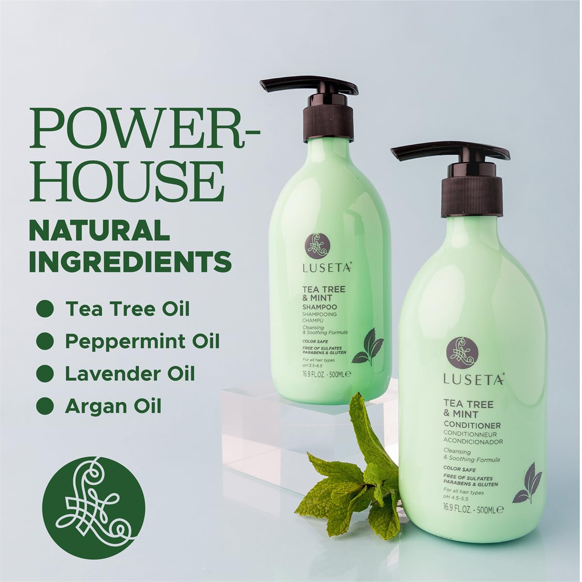 Luseta Clarifying Shampoo and Conditioner Set for Dry Scalp - Tea Tree Mint with Peppermint & Lavender Oil, Helps Refresh Scalp & Reduce Visible Beauty & Personal Care L LUSETA