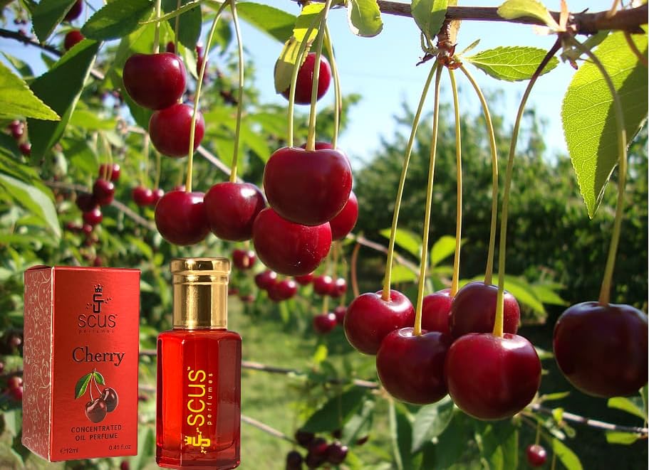 SCUS Perfumes Cherry Fragrance for Men & Women Floral Fruity Concentrated Perfume oil Long Lasting Fragrance Non-Alcoholic (Parfum 12ml with Velvet Beauty & Personal Care SCUS Perfumes