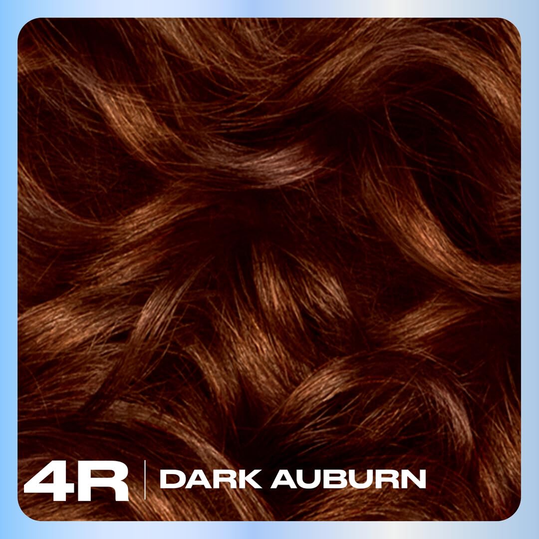 Clairol Nice'n Easy Permanent Hair Dye, 4R Dark Auburn | 100% Gray Coverage | Long?Lasting, Natural?Looking Color & Shine | Pack of 3 Beauty & Personal Care Clairol