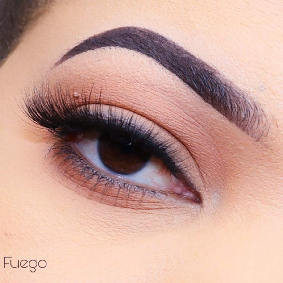 3D FAUX MINK LASHES: FUEGO Beauty & Personal Care Cala