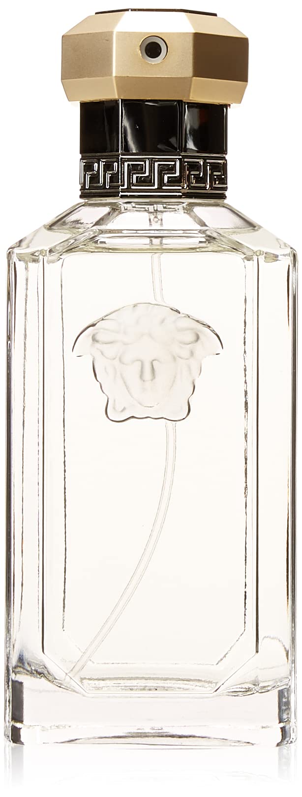 Dreamer By Gianni Versace For Men. Eau De Toilette Spray 3.4 Ounces Beauty & Personal Care Versace