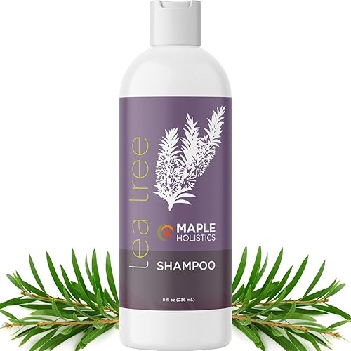 Tea Tree Shampoo for Oily Hair - Paraben and Sulfate Free Clarifying Shampoo for Build Up and Dry Scalp with Tea Tree Oil for Hair - Purifying Beauty & Personal Care Maple Holistics