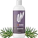 Tea Tree Shampoo for Oily Hair - Paraben and Sulfate Free Clarifying Shampoo for Build Up and Dry Scalp with Tea Tree Oil for Hair - Purifying Beauty & Personal Care Maple Holistics