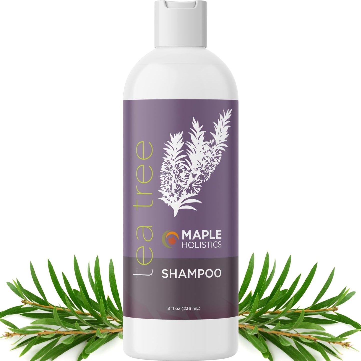 Tea Tree Shampoo for Oily Hair - Paraben and Sulfate Free Clarifying Shampoo for Build Up and Dry Scalp with Tea Tree Oil for Hair - Purifying Beauty & Personal Care Maple Holistics