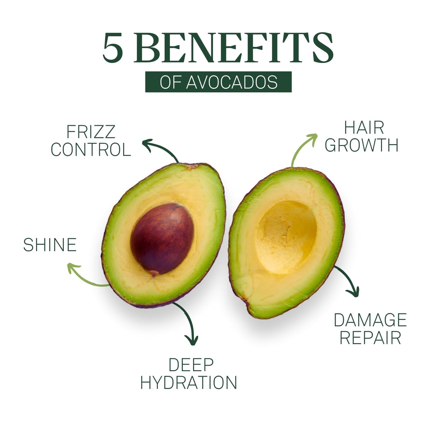 EVA + AVO Avocado Shampoo & Conditioner 8 fl oz, Sulfate-Free Cleanse for Dry Scalp, Fine, Curly, Damaged or Thin Hair, Hydrating & Strengthening Beauty & Personal Care Eva + Avo