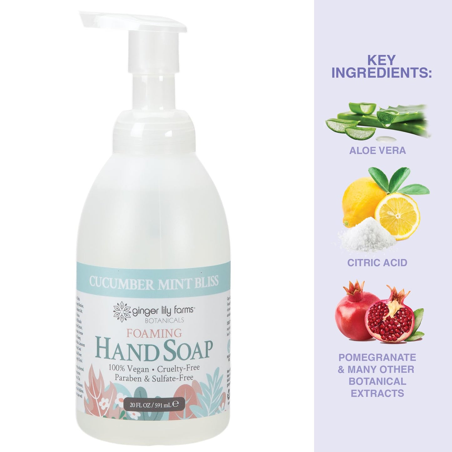Ginger Lily Farms Botanicals All-Purpose Foaming Hand Soap Refill, 100% Vegan & Cruelty-Free, Cucumber Mint Bliss Scent, 20 Fl Oz (Pack of 1) Beauty & Personal Care Ginger Lily Farms