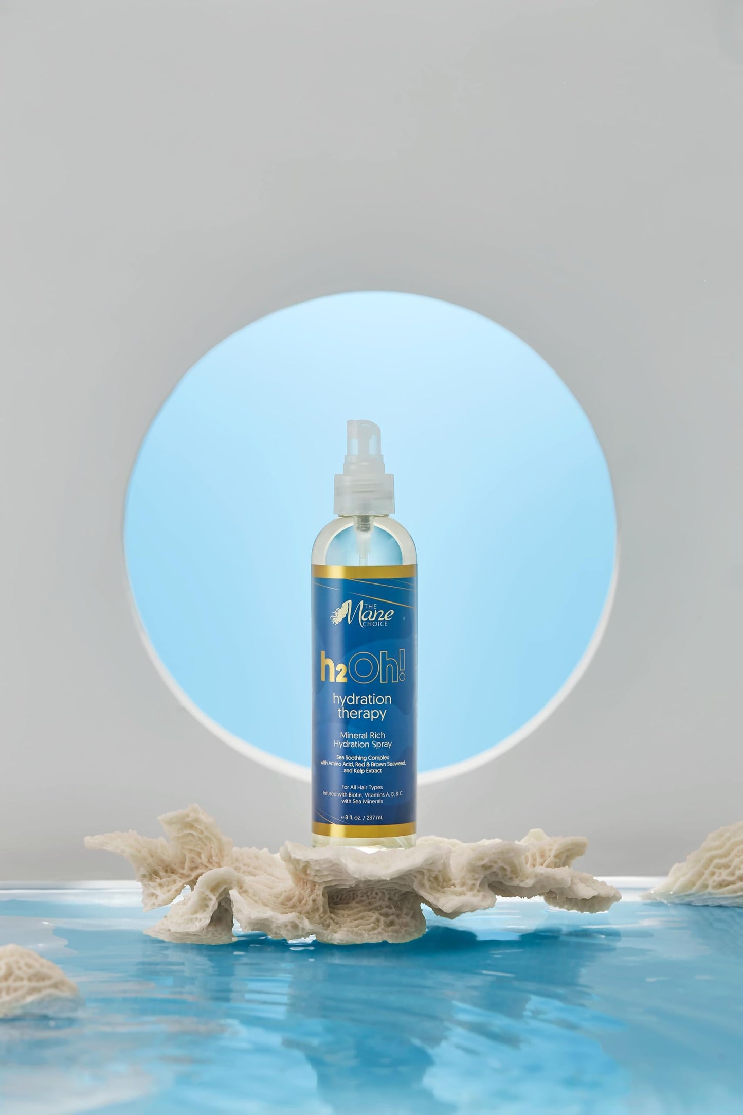 The Mane Choice H2Oh! Hydration Therapy Hydration Spray 8 Oz Beauty & Personal Care The Mane Choice