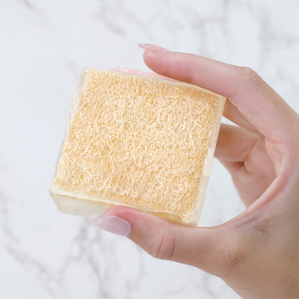 Primal Elements Eucalyptus Loofah Bar Soap, 5 Ounce Beauty & Personal Care Primal Elements