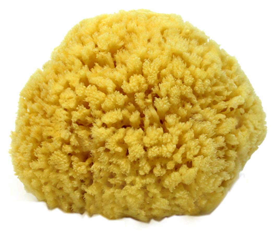 Natural Sea Sponge Small 4-5" by Spa Destinations®Creating The Perfect Bath and Shower Experience Amazing Natural Renewable Resource! Beauty and Personal Care Spa Destinations
