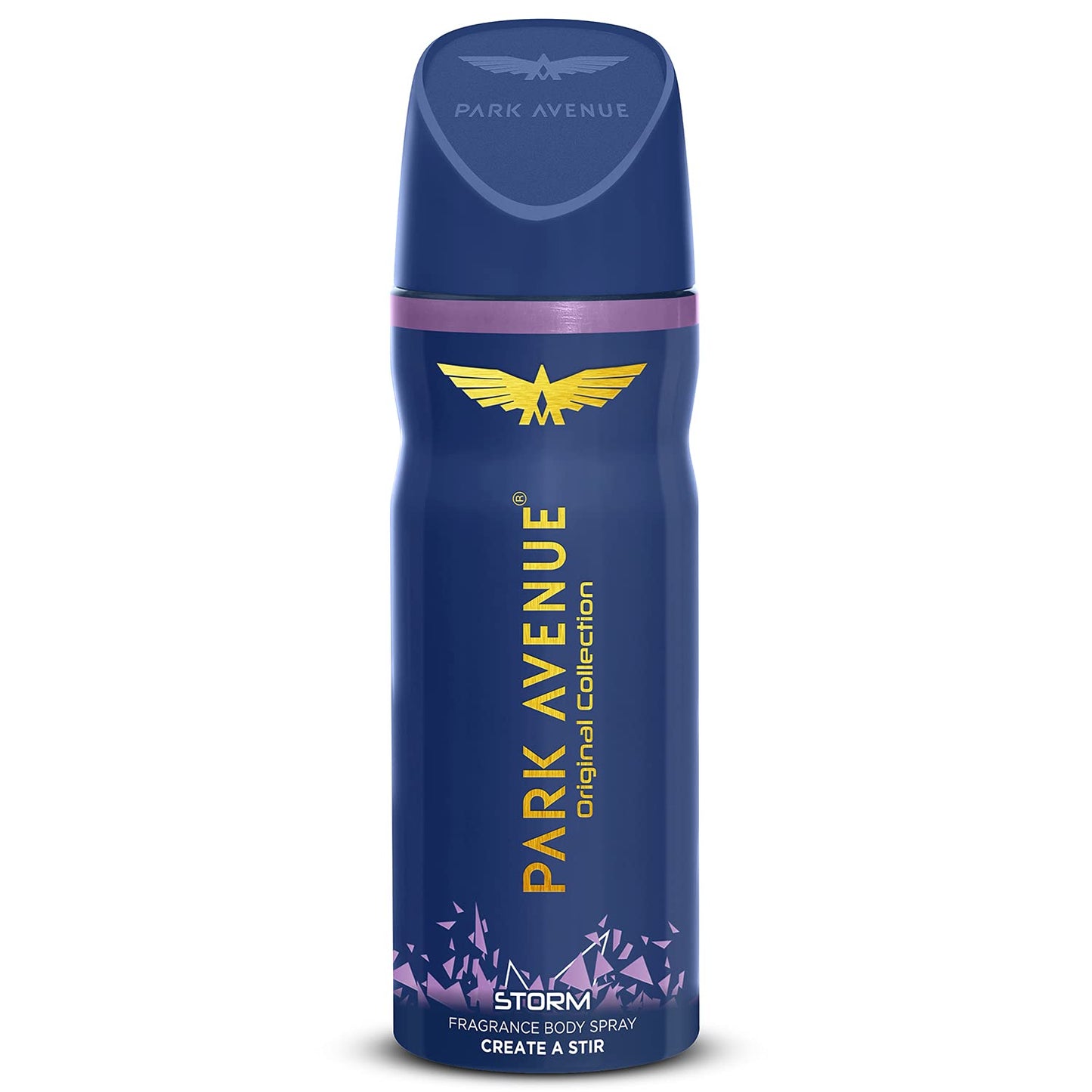 Park Avenue Storm Body Deodorant for Men, 100gm/130ml Beauty and Personal Care PARK AVENUE