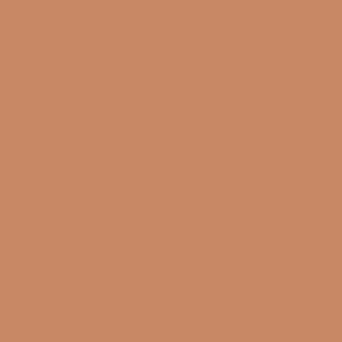 Neutrogena Hydro Boost Hydrating Foundation Stick with Hyaluronic Acid, Oil-Free & Non-Comedogenic Moisturizing Makeup for Smooth Coverage Beauty & Personal Care Neutrogena