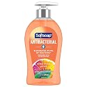 Softsoap Antibacterial Liquid Hand Soap Pump, Crisp Clean, 11.25 fl. oz. (US03562A) Beauty & Personal Care Softsoap