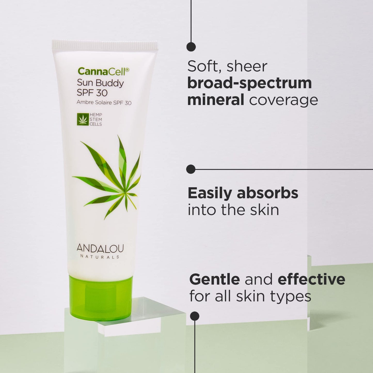 Andalou Naturals Face Sunscreen, CannaCell Sun Buddy SPF 30 with Hemp Stem Cells, Moisturizing Facial Lotion, Broad Spectrum Protection with Non-Nano Beauty & Personal Care Andalou Naturals