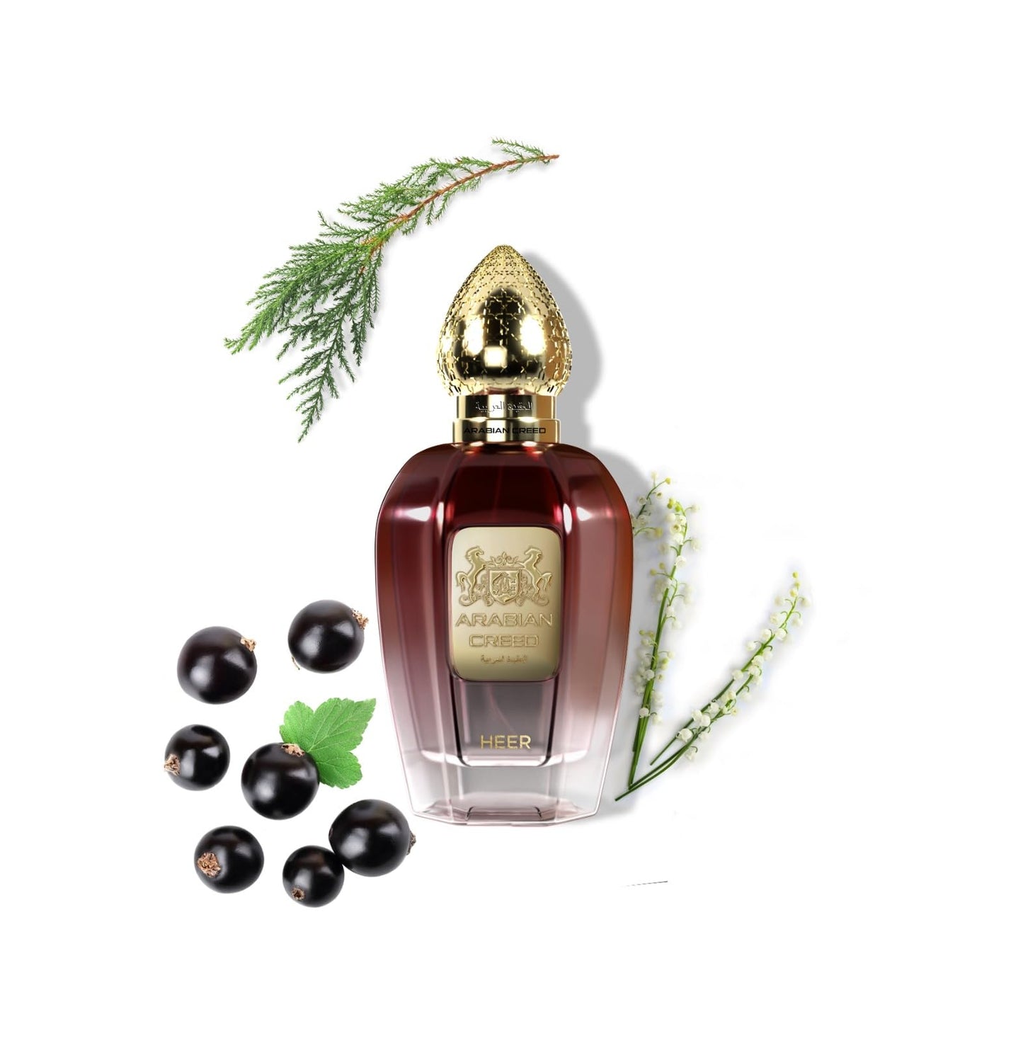 Arabian Creed Beauty & Personal Care Arabian Creed