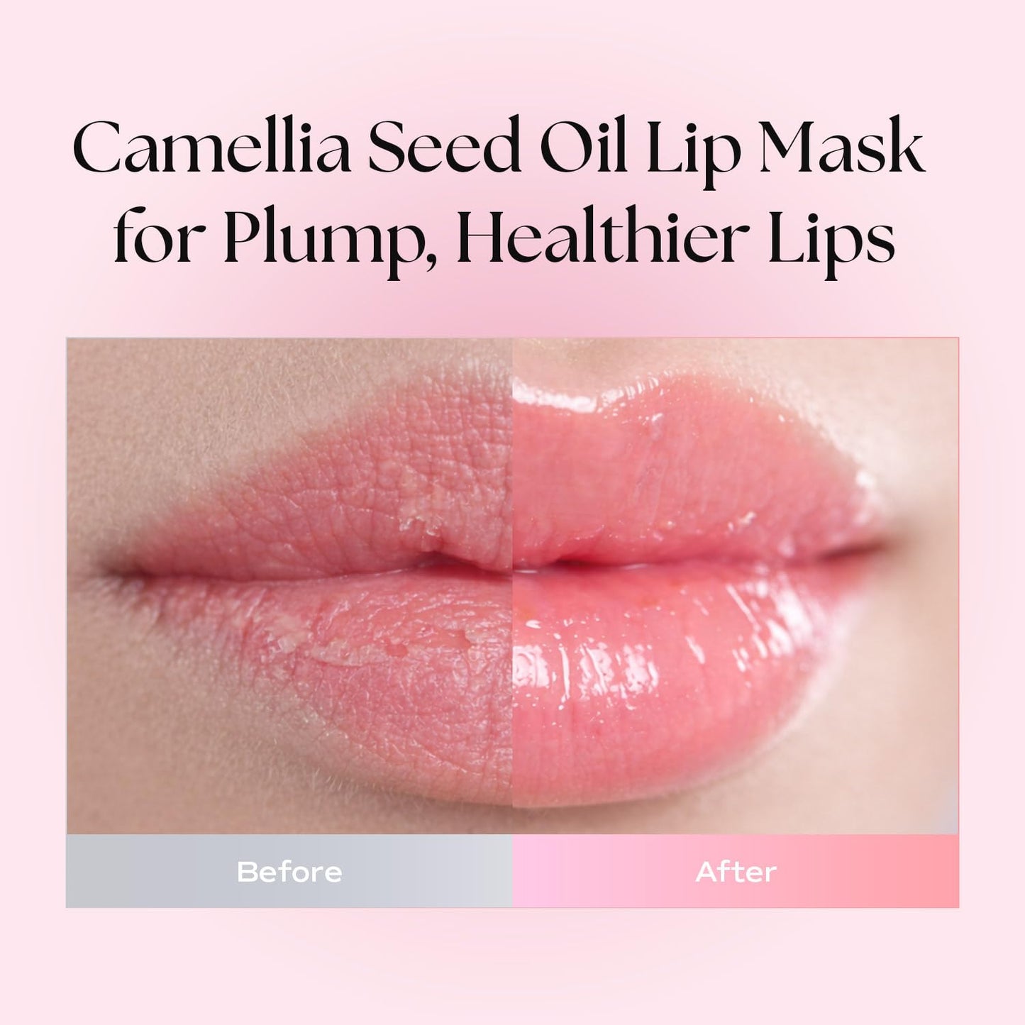 Sleeping Lip Mask Camelia Seed Oil 0.53 Oz. - Day & Night Repairing Balm, Overnight Lip Mask, Lip Treatment for Dull & Dry Lips, Deep Nourishing Beauty and Personal Care Petitfee