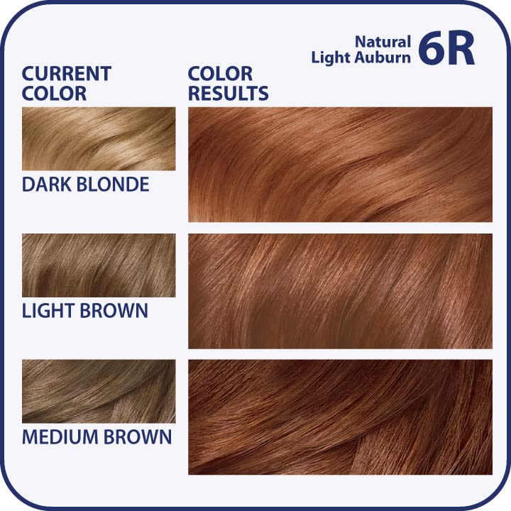 Clairol Nice'n Easy Permanent Hair Dye, 6W Light Mocha Brown Hair Color, Pack of 1 Beauty & Personal Care Clairol